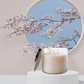 Cherry Blossom Scented 3 Wick Candle